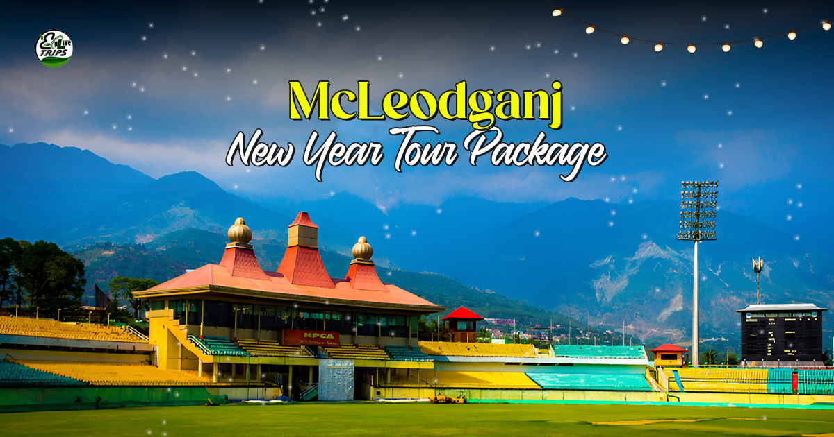 New Year 2026 Packages – McLeodganj & Bir Charm Awaits